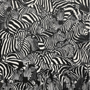 Zebras