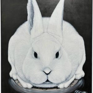Watch Rabbit